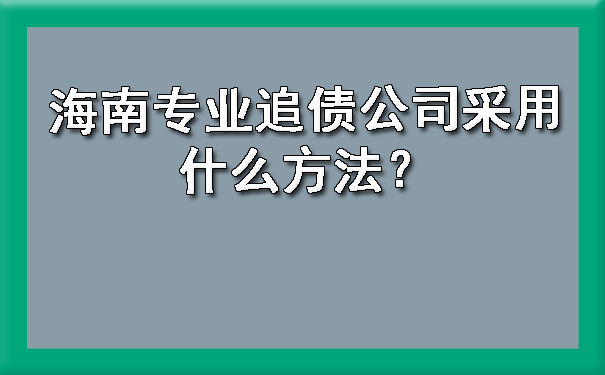 海南专业追债公司采用什么方法？.jpg