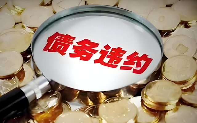 债务.jpg